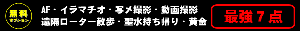 無料オプション